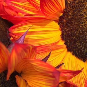 Meet your Posher, Simrin